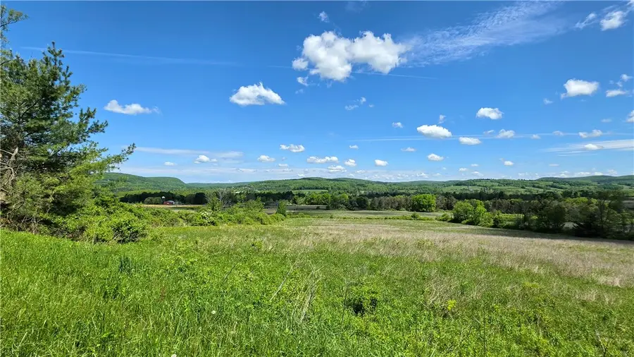 228 Burns Road, Brooktondale, NY 14817 - #2