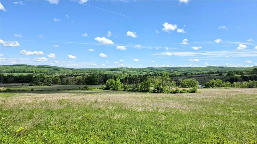 228 Burns Road, Brooktondale, NY 14817 - #3
