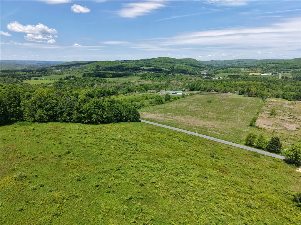158 Burns Road, Brooktondale, NY 14817 - #1