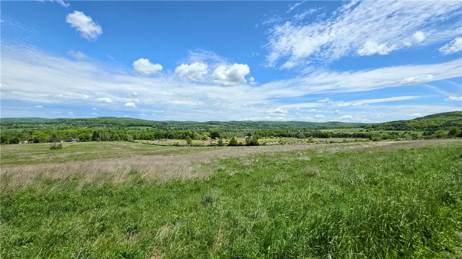 158 Burns Road, Brooktondale, NY 14817 - #2