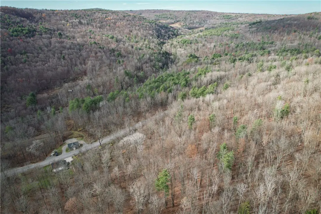 1188 Braybrook Road, Chemung, NY 14825 - #1