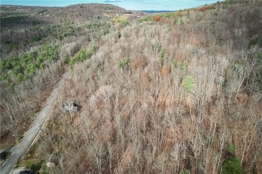1188 Braybrook Road, Chemung, NY 14825 - #3
