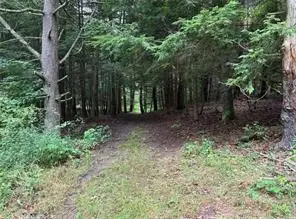 10053 Browntown Road, Lindley, NY 14858 - #2