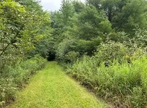 10053 Browntown Road, Lindley, NY 14858 - #3