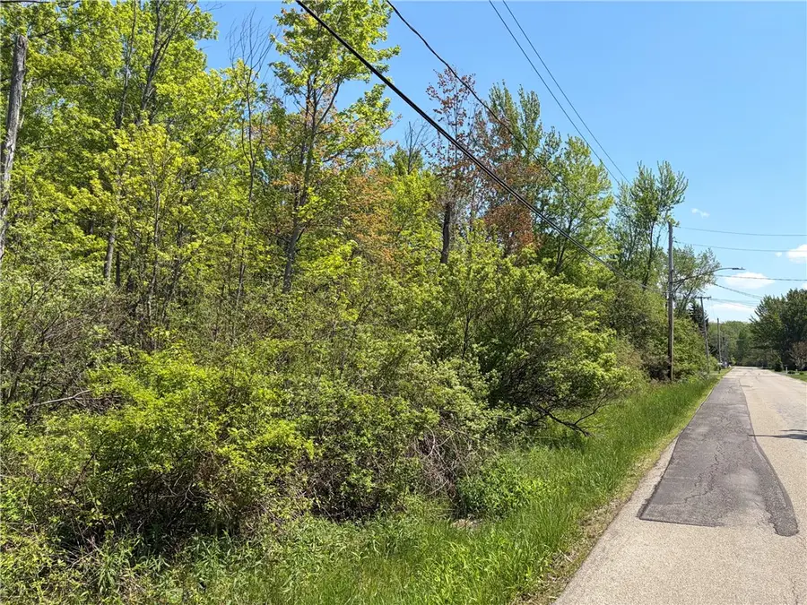 Waterman Road, Angola, NY 14006 - #2