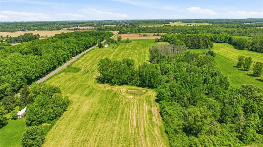 Bethany Leroy Road, Stafford, NY 14143 - #3