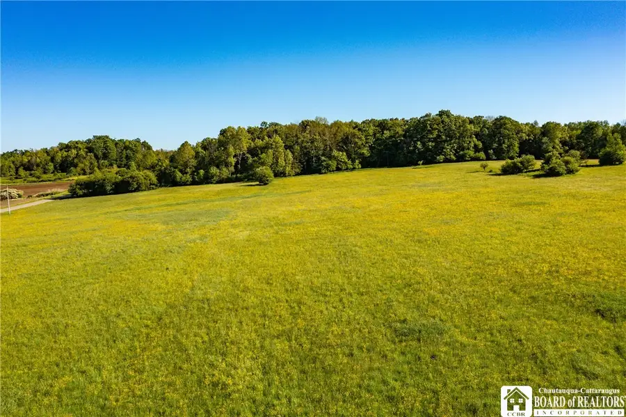 Sherman Road, Ripley, NY 14775 - #3