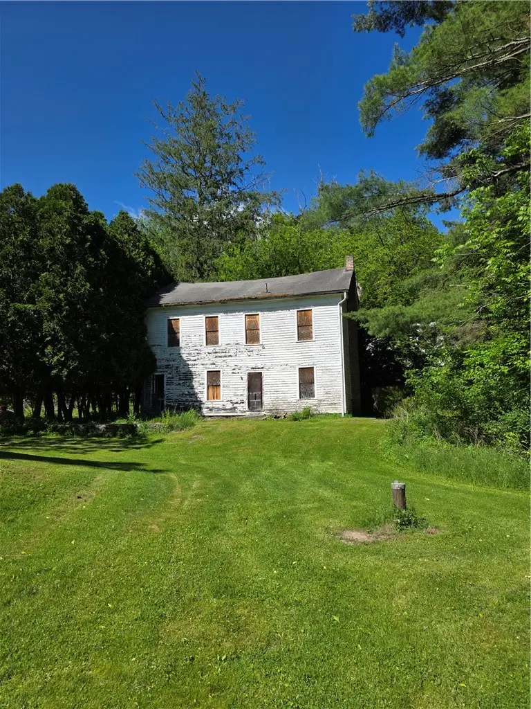 60 Cochecton Road, Cochecton, NY 12726 - #1