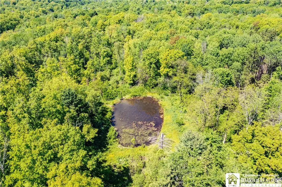532 Eccles Road, Kennedy, NY 14747 - #3