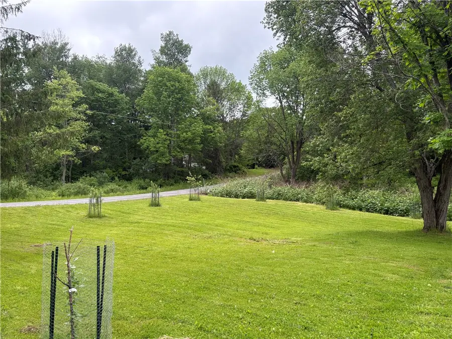 172 Brookins Road, Smyrna, NY 13464 - #3