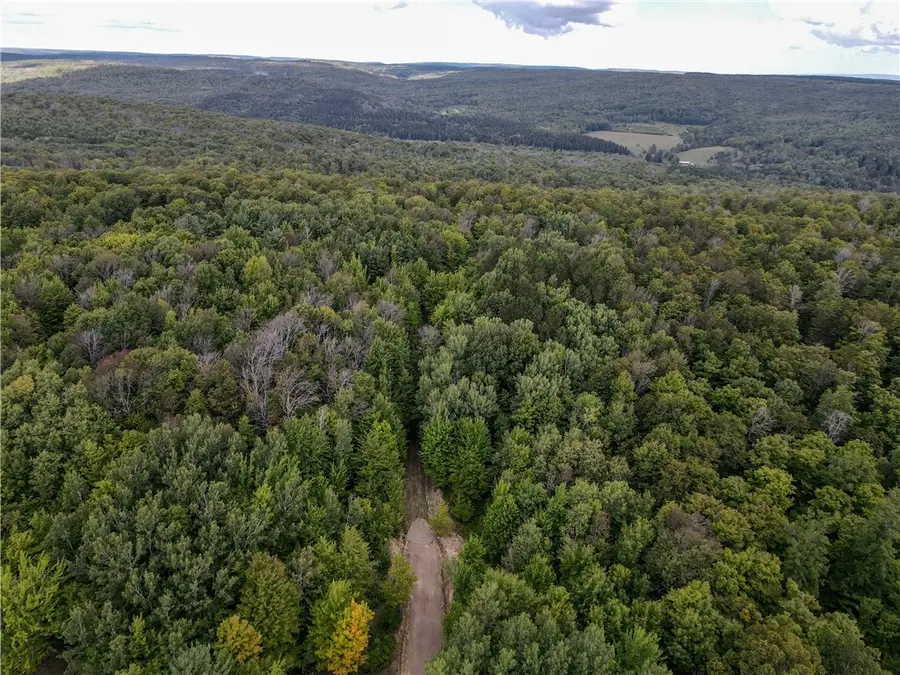 8190 Billing Drive, Almond, NY 14804 - #2