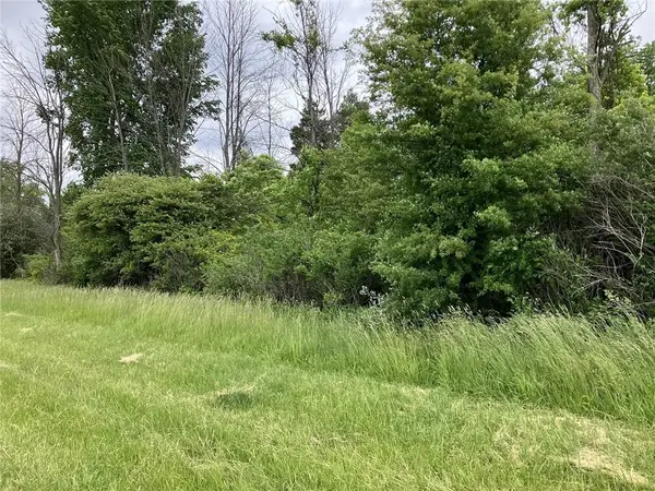 0 Lake Forest Fl 42, Lyndonville, NY 14098