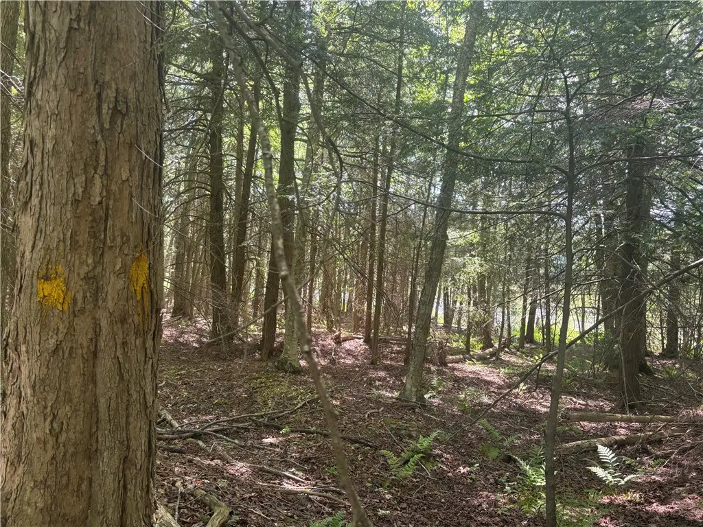 County Rd 42, East Pharsalia, NY 13758 - #1