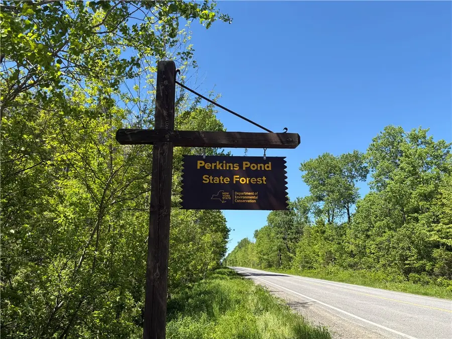 County Rd 42, East Pharsalia, NY 13758 - #3