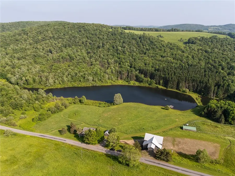 1870 Carey Road, Franklin, NY 13775 - #3