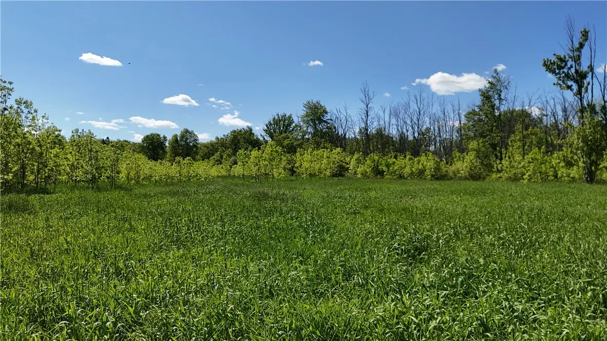 Dredge Ditch Road, Conewango Valley, NY 14726 - #1