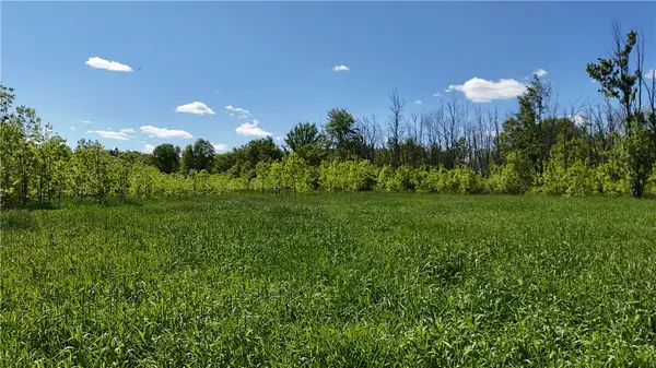 Dredge Ditch Road, Conewango Valley, NY 14726