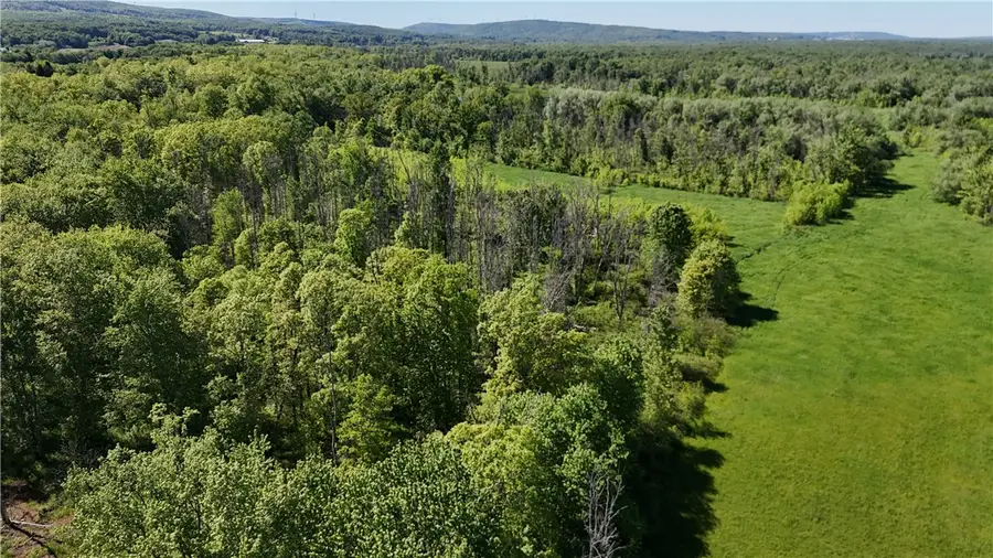 Dredge Ditch Road, Conewango Valley, NY 14726 - #2
