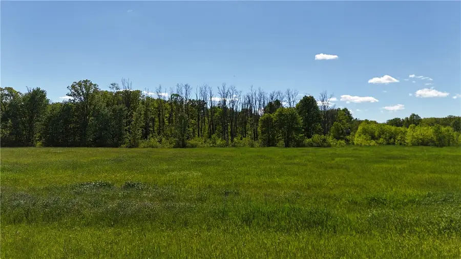 Dredge Ditch Road, Conewango Valley, NY 14726 - #3