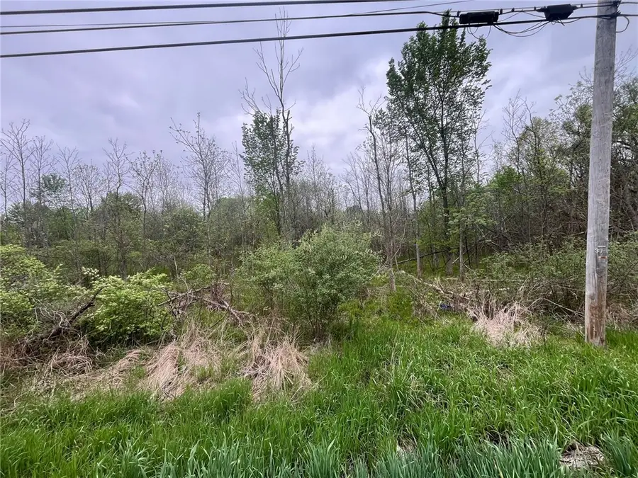 5670 Thompson Road, Clarence Center, NY 14032 - #3