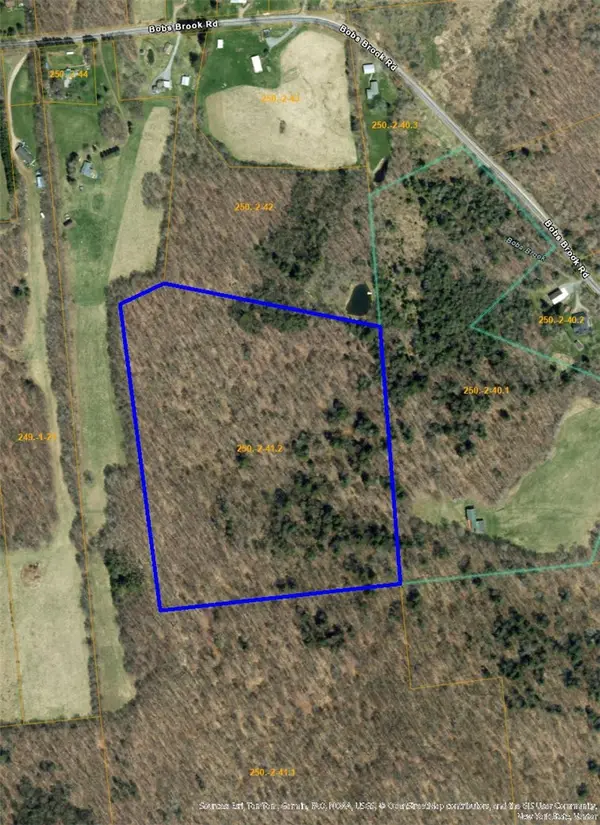 730 Bob's Brook Road, Walton, NY 13856