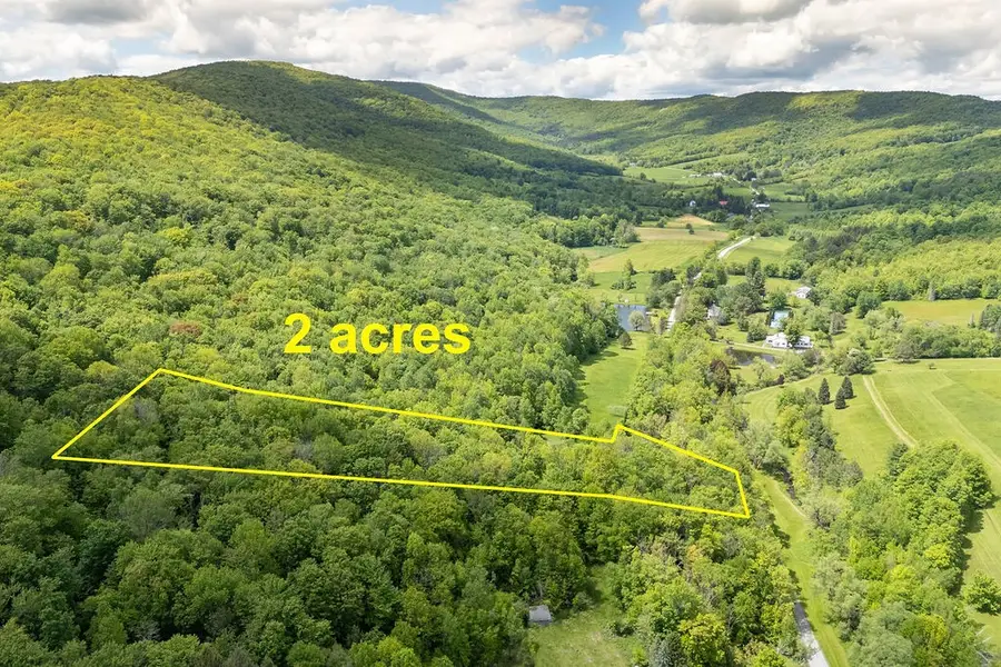1361 Weaver Hollow Road, Andes, NY 13731 - #2