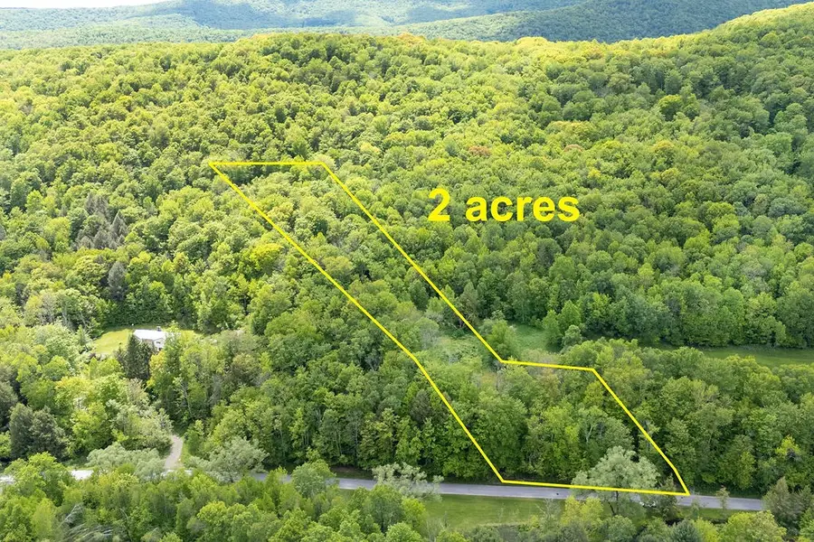 1361 Weaver Hollow Road, Andes, NY 13731 - #3
