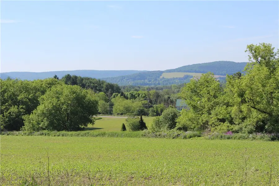 133 Sanitarium Road, Sherburne, NY 13460 - #3
