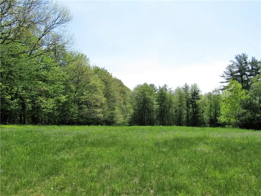 125 Mayhem Pond Drive, Stamford, NY 12167 - #2