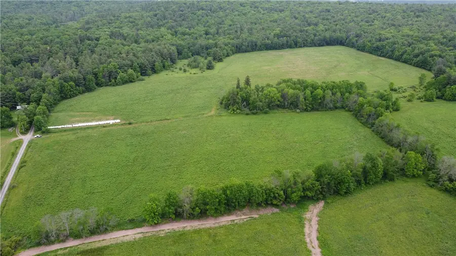 127 White Store Road, Norwich, NY 13815 - #3