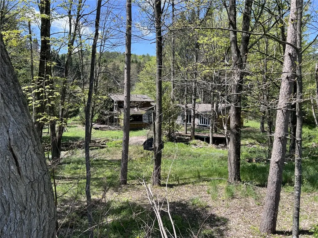 293 Lockwood Hill Road, Unadilla, NY 13849 - #1