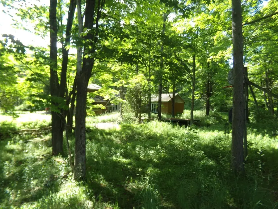 293 Lockwood Hill Road, Unadilla, NY 13849 - #3
