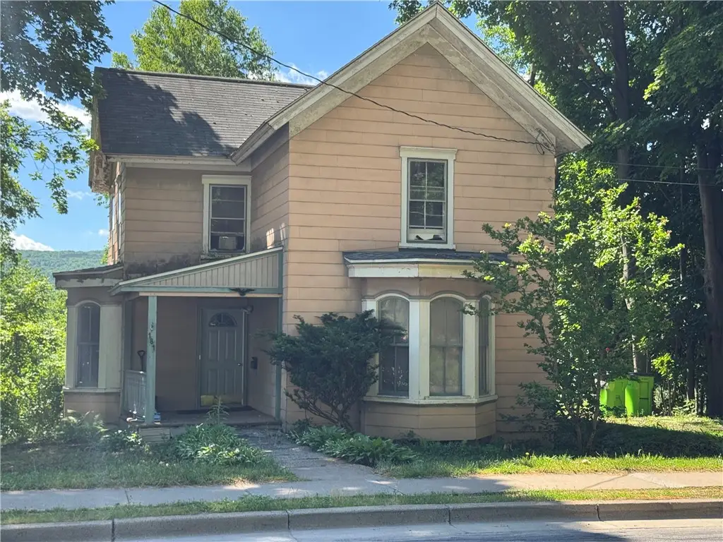 181 Chestnut Street, Oneonta, NY 13820 - #1