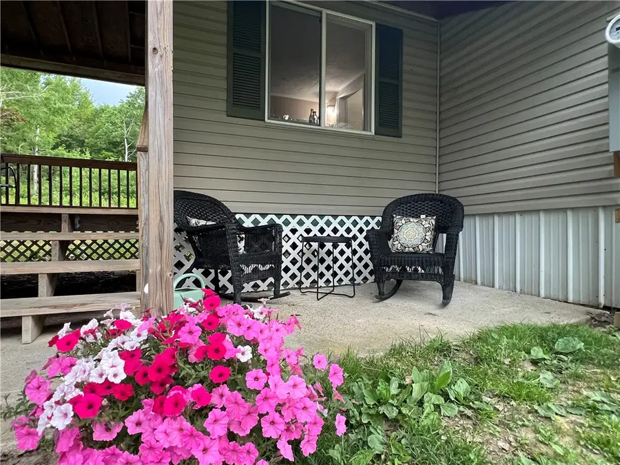 424 Parrott Road, Cayuta, NY 14824 - #3
