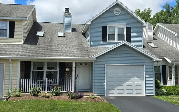 23 Pumpkin, Rochester, NY 14624
