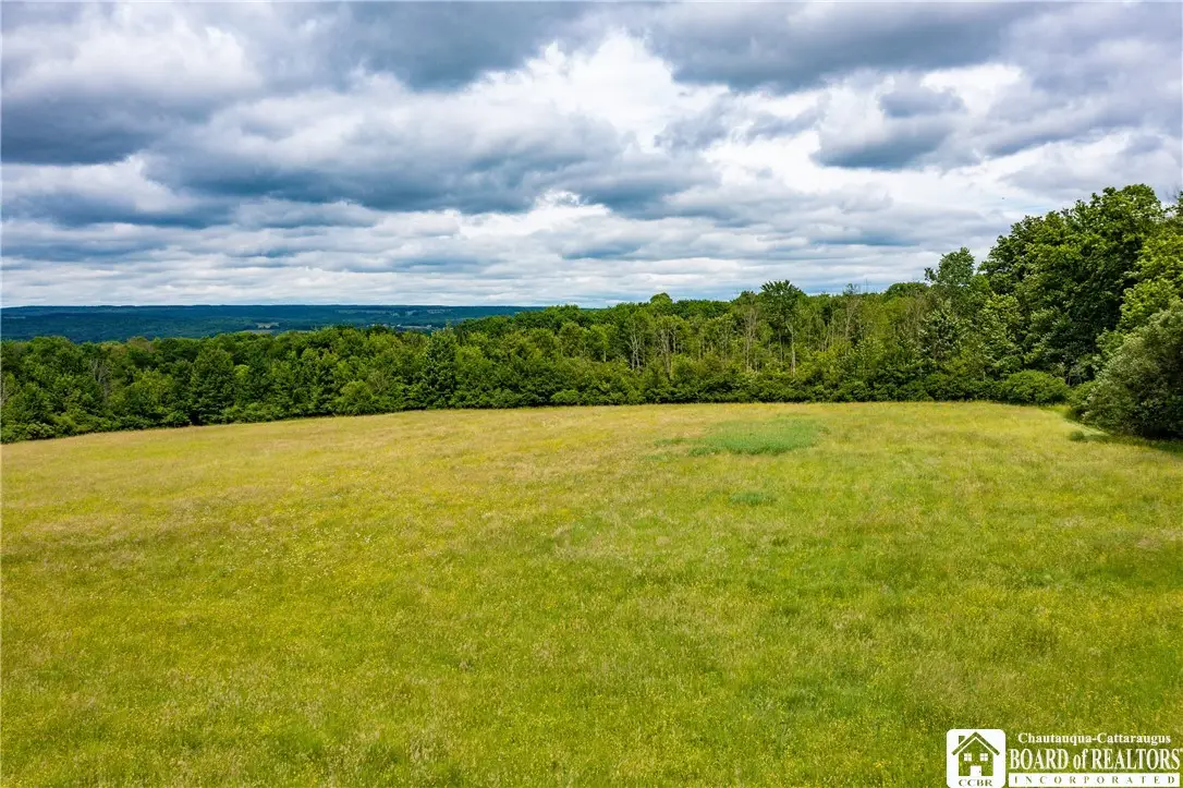 Part of 4600 Fluvanna Townline Road, Jamestown, NY 14701 - #1