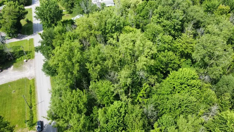 Kelly Road, Sodus, NY 14551 - #3