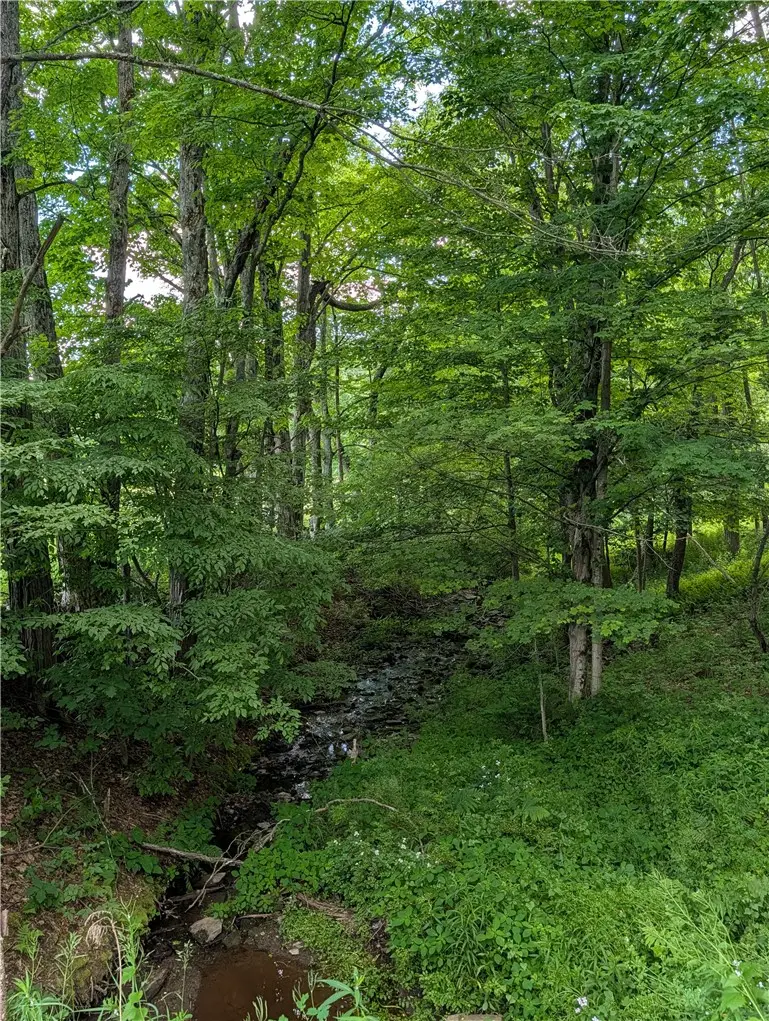 Case Road, Bainbridge, NY 13733 - #3
