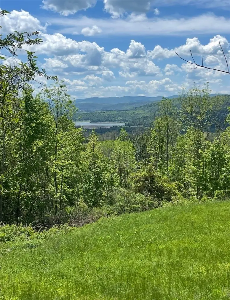 127 Grassy Road, North Blenheim, NY 12131 - #3