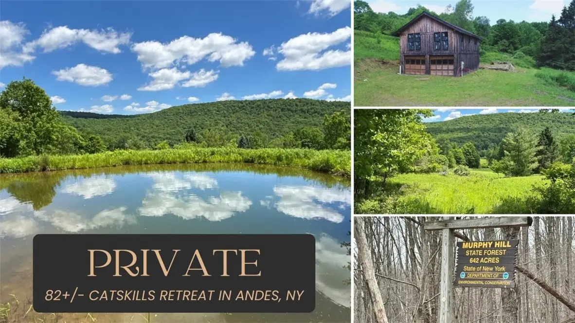 2613 Murphy Hill Road, Andes, NY 13731 - #1