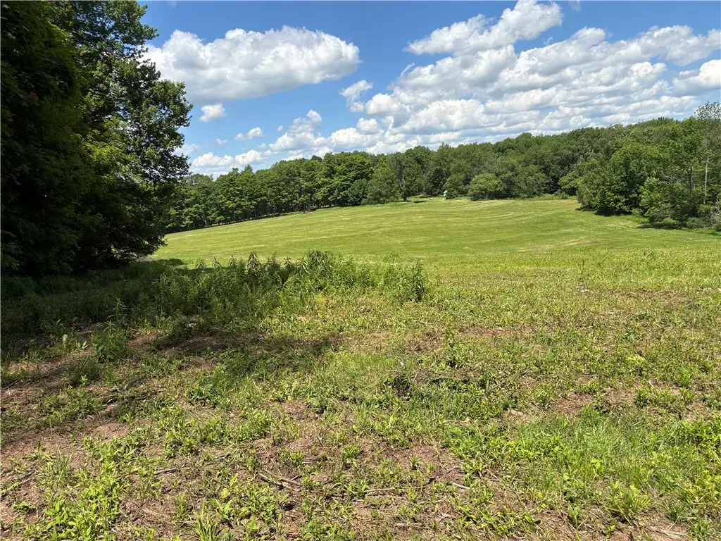 464 Reservoir Hill Road, Norwich, NY 13815 - #1