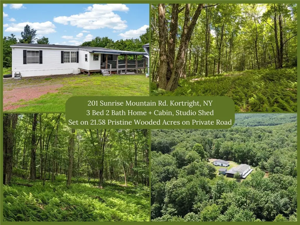201 Sunrise Mountain Road, Bloomville, NY 13739 - #1