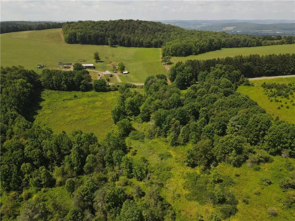 Jennison Road, Pittsfield, NY 13411 - #1