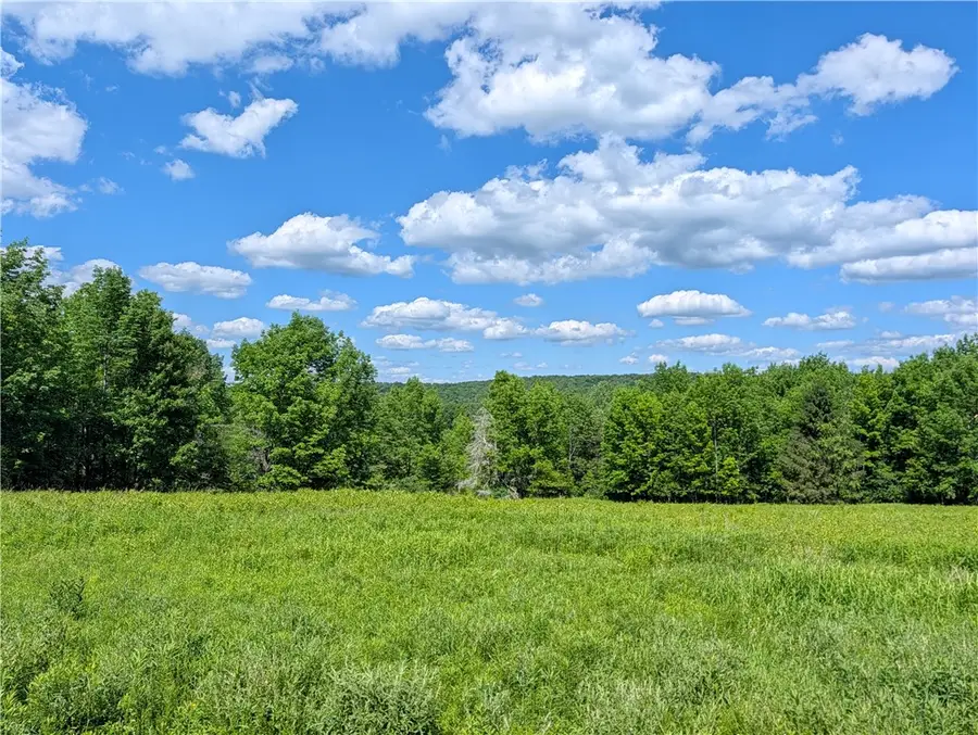 Jennison Road, Pittsfield, NY 13411 - #3