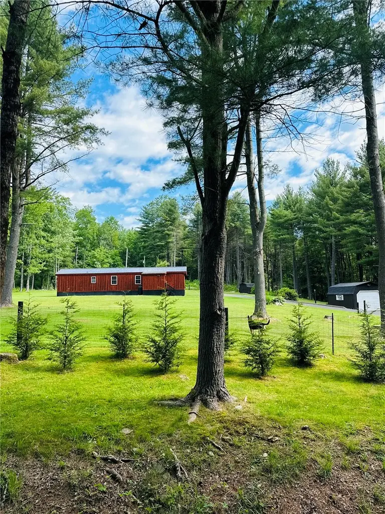 385 Lyon Road, Bainbridge, NY 13733 - #2