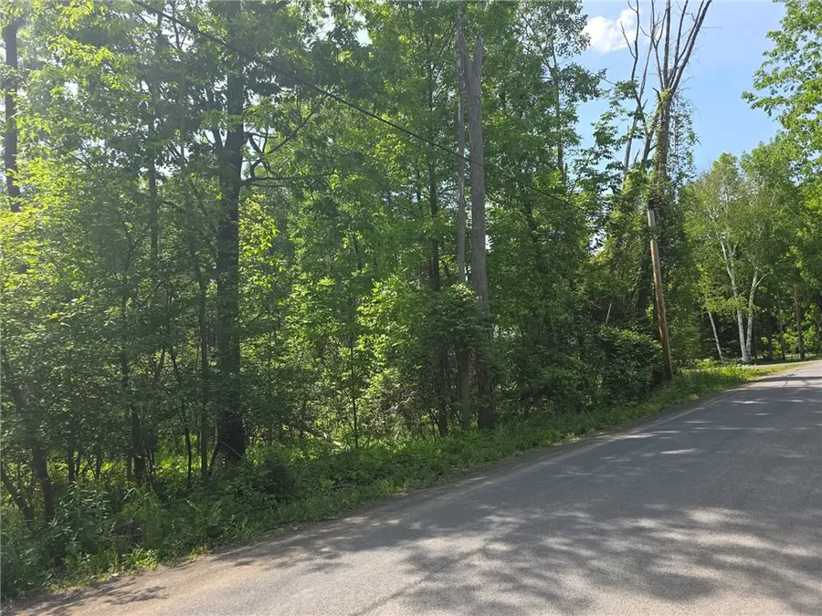 Lippitt Development Road, Cooperstown, NY 13326 - #2