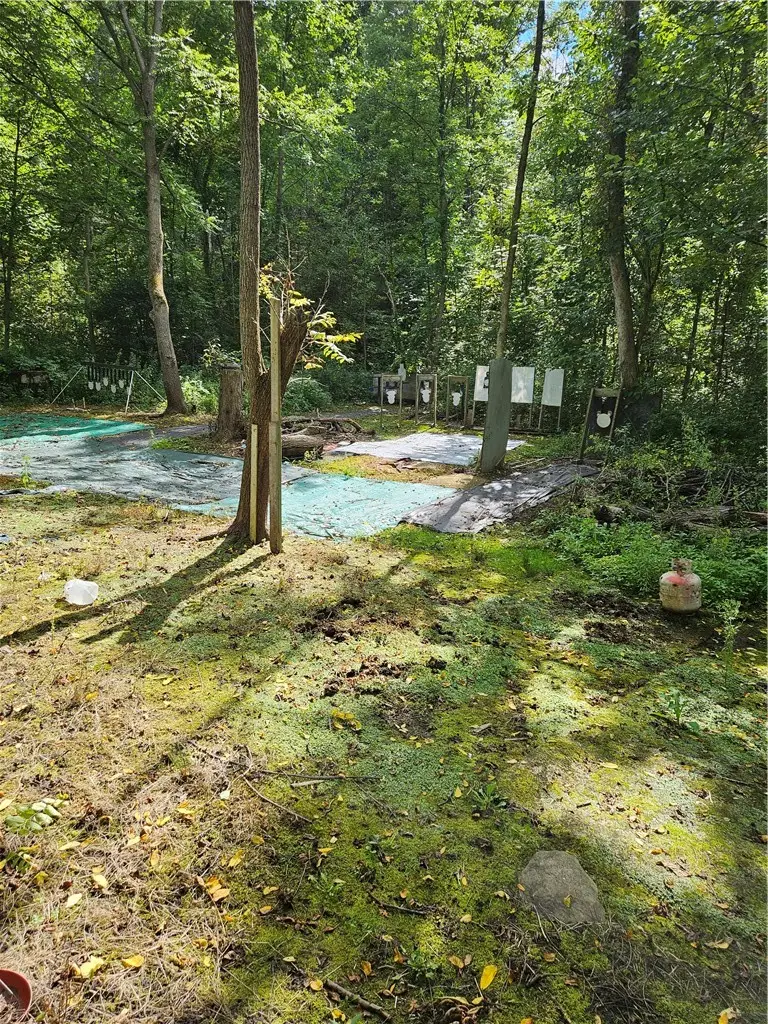 0 Lyons Marengo Road, Clyde, NY 14433 - #2