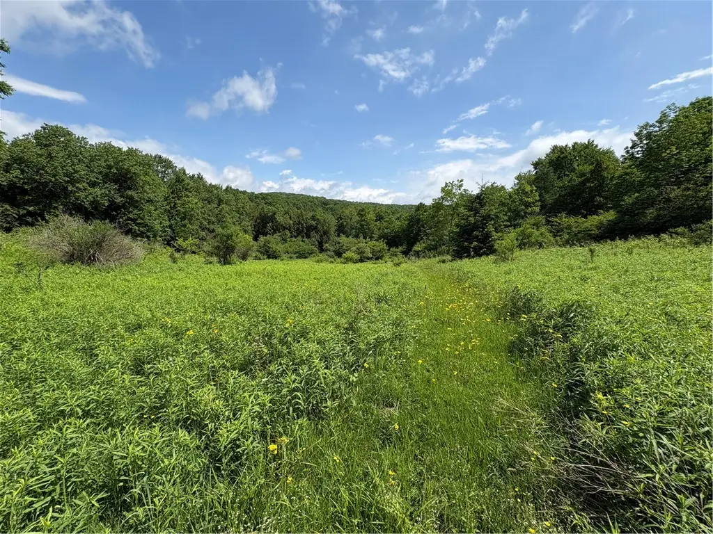Stage Road, South Otselic, NY 13155 - #1