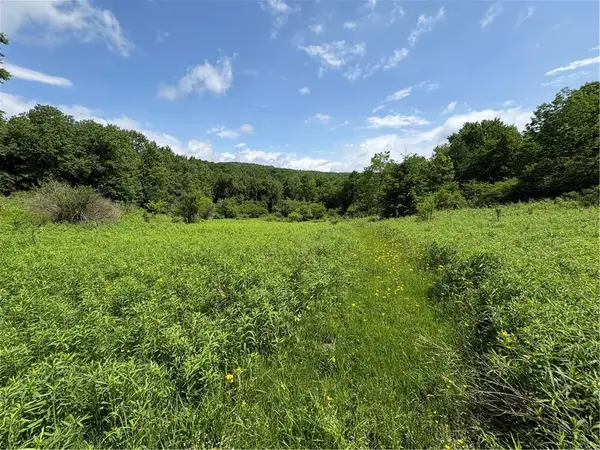 Stage Road, Otselic, NY 13155