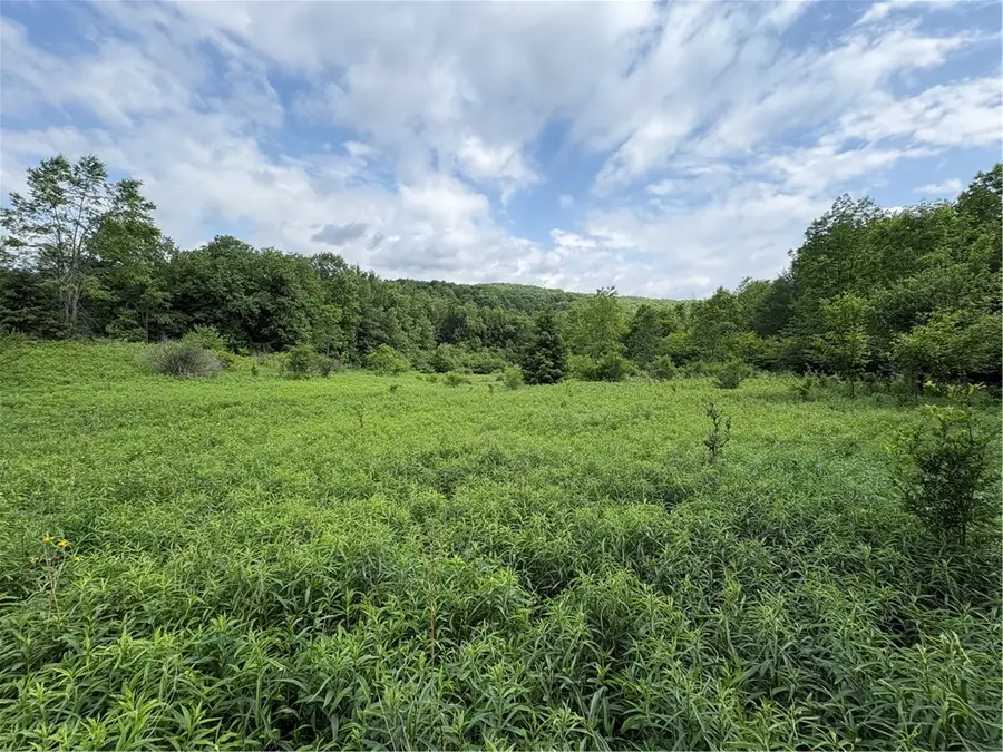 Stage Road, South Otselic, NY 13155 - #2